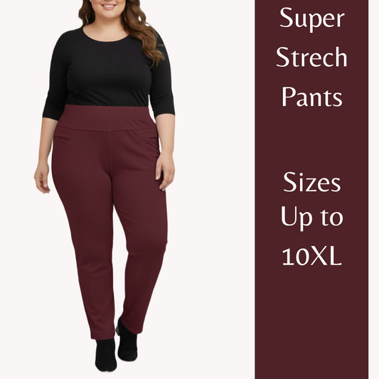 Stretchable Pants Bottom Wear Maroon