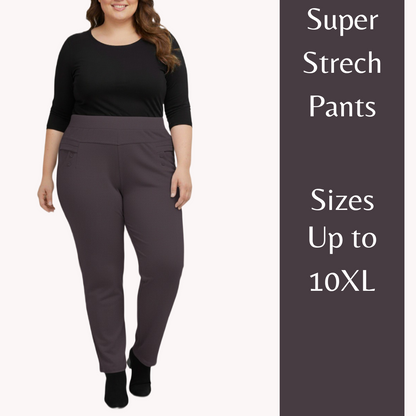 Stretchable Pants Bottom Wear Grey