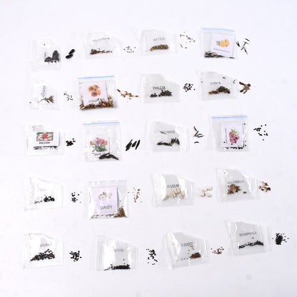 Seeds 20 Varieties Of Flower Seeds Combo (1 Pkt  20 Varieties)