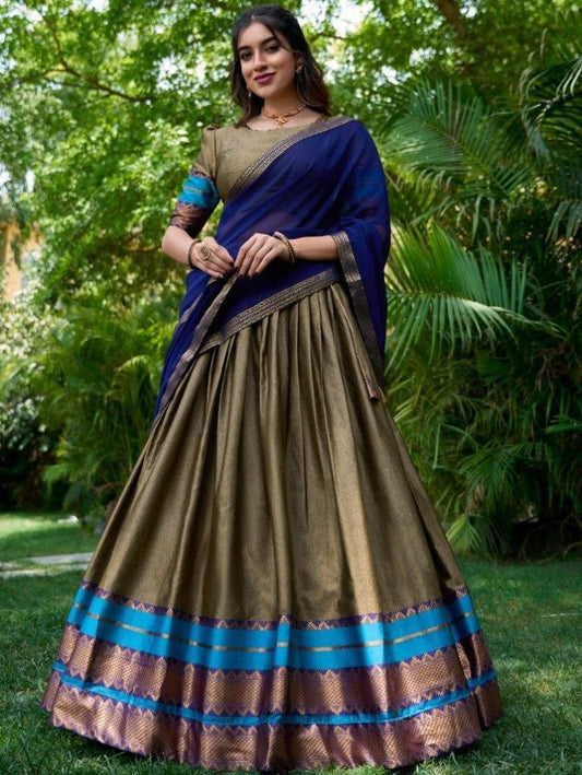 Chikoo Colour  With Blue Dupatta South Indian Type Half Lehenga Saree