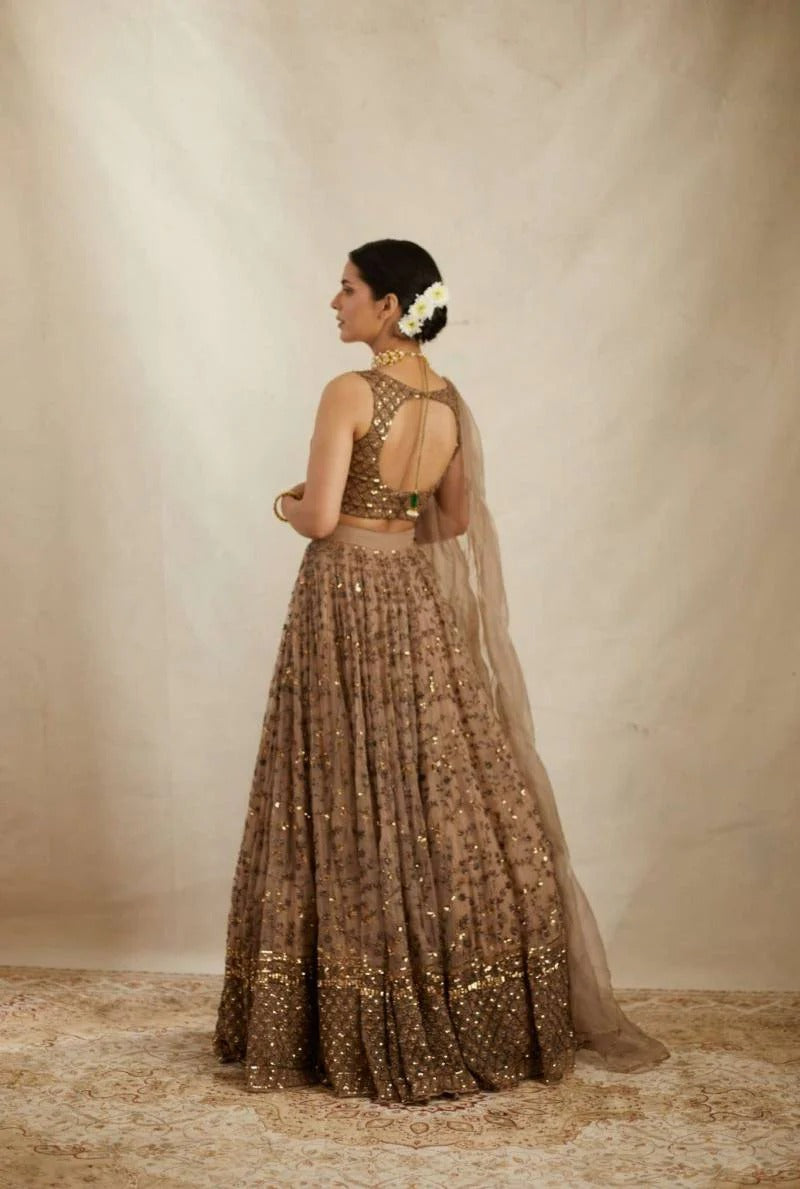 Georgette lehenga choli with intricate sequins and zari embroidery