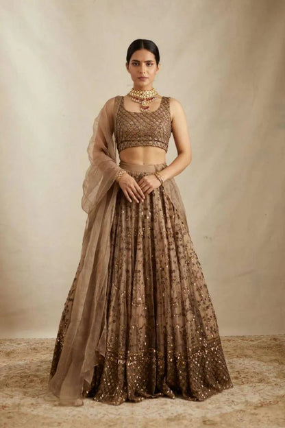 Georgette lehenga choli with intricate sequins and zari embroidery